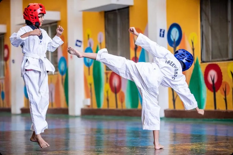 Taekwondo
